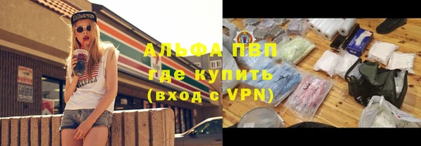 СК Ельня
