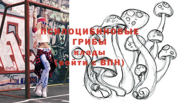 прущие крисы Елабуга