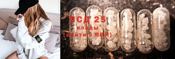 спайс Дмитриев