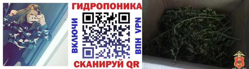 Марихуана тримм  наркошоп  Харовск 